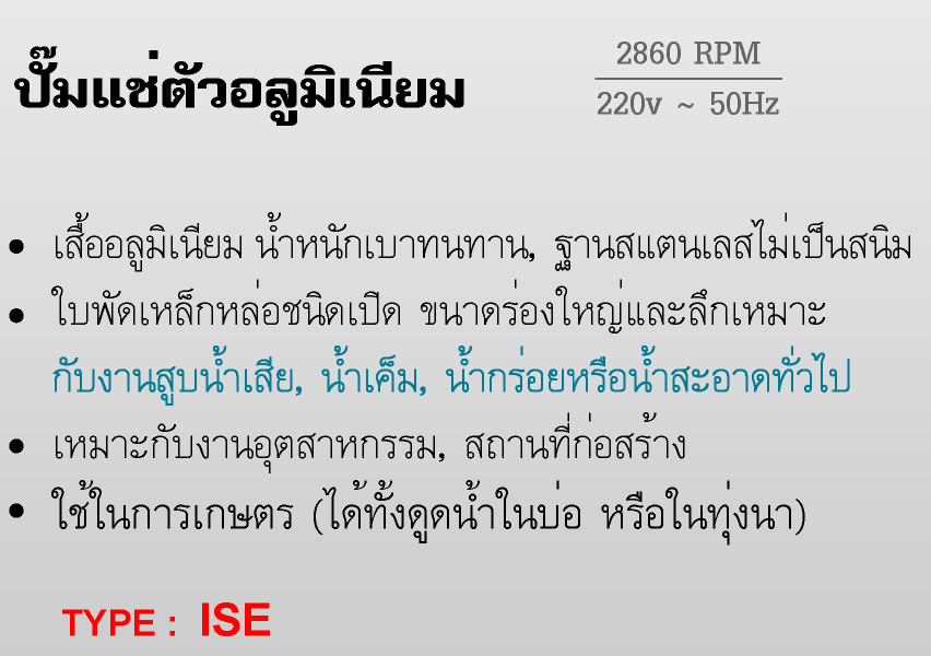 www.hpi.co.th ปั๊มเเช่เสื้อเหล็กหล่อ  1.1/2'' ,2'' BENTO รูปที่ 2