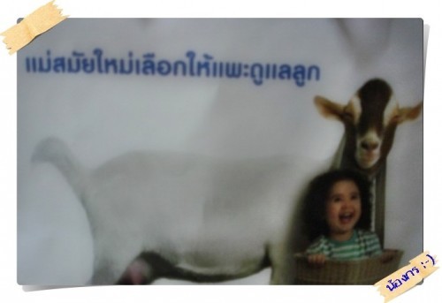 ขายนมแพะสำหรับทารก DG1 DG2 DG3 ค่ะ รูปที่ 5