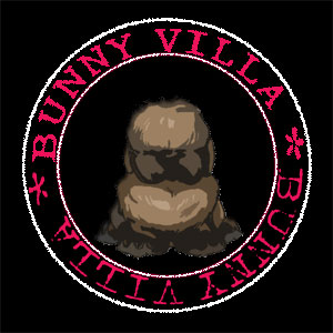 BUNNY VILLA* Great Quality Holland Lop Only. รูปที่ 1