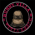 BUNNY VILLA* Great Quality Holland Lop Only.