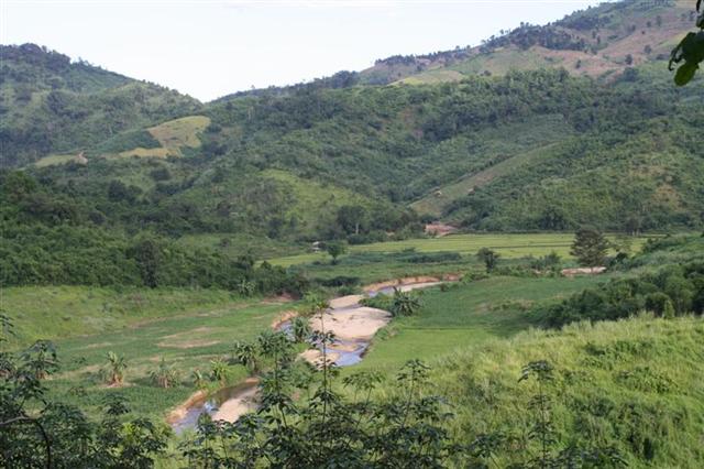 สวนยาง 450 ไร่ เชียงราย(450 rai of rubber plantation in Chiang Rai)  รูปที่ 5