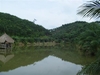 รูปย่อ สวนยาง 450 ไร่ เชียงราย(450 rai of rubber plantation in Chiang Rai)  รูปที่6