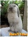 รูปย่อ @_= จำหน่ายลูกกระต่ายฮอลแลนด์ลอปแท้,กระต่ายแคระ(ND) และอื่นๆ ราคากันเอง มีใบ Pedigree รูปที่2