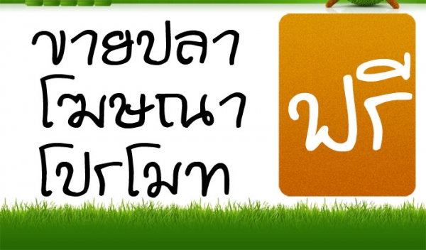 เว็บ ปลาคาร์พ ลงประกาศ สินค้าฟรีไม่จำกัด รูปที่ 3