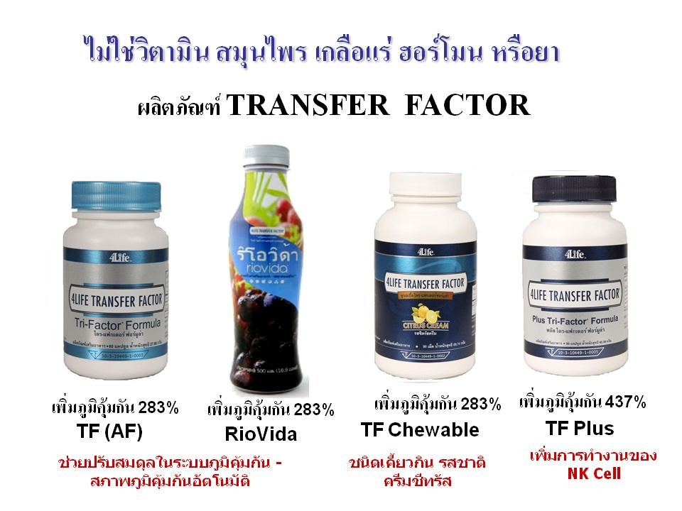 4 LIFE TRANSFER FACTOR  4ไลฟ์ ทรานสเฟอร์แฟคเตอร์ ราคาสมาชิก รูปที่ 1