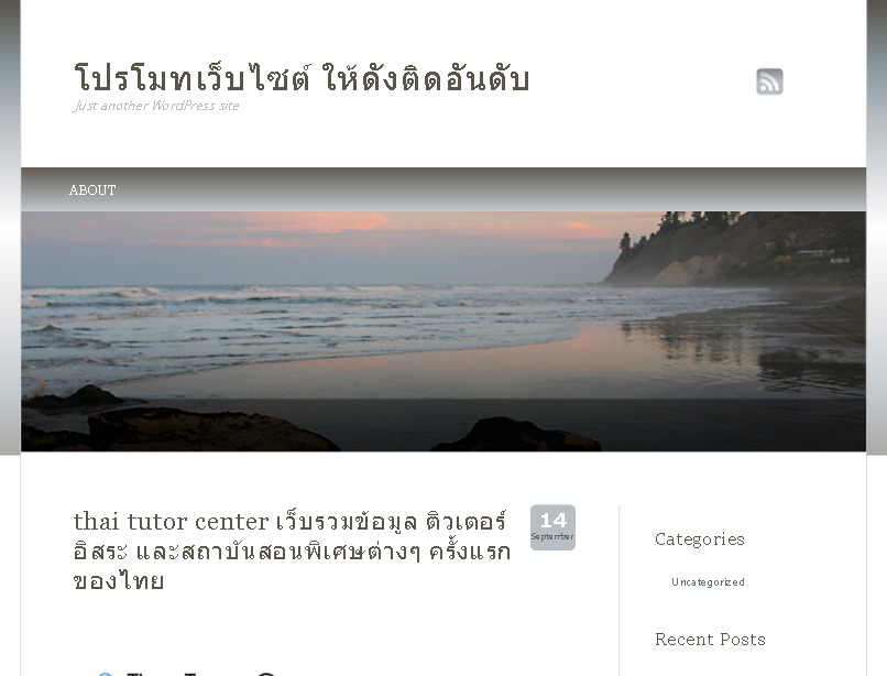 โปรโมทเว็บไซต์ ให้ดังติดอันดับ — just another wordpress site รูปที่ 1