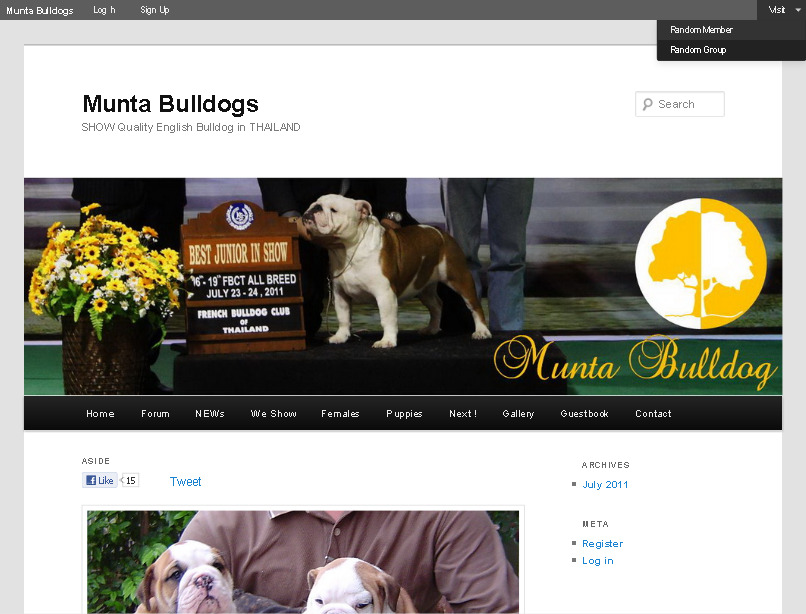 Munta Bulldogs | SHOW Quality English Bulldog in THAILAND รูปที่ 1
