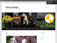 Munta Bulldogs | SHOW Quality English Bulldog in THAILAND