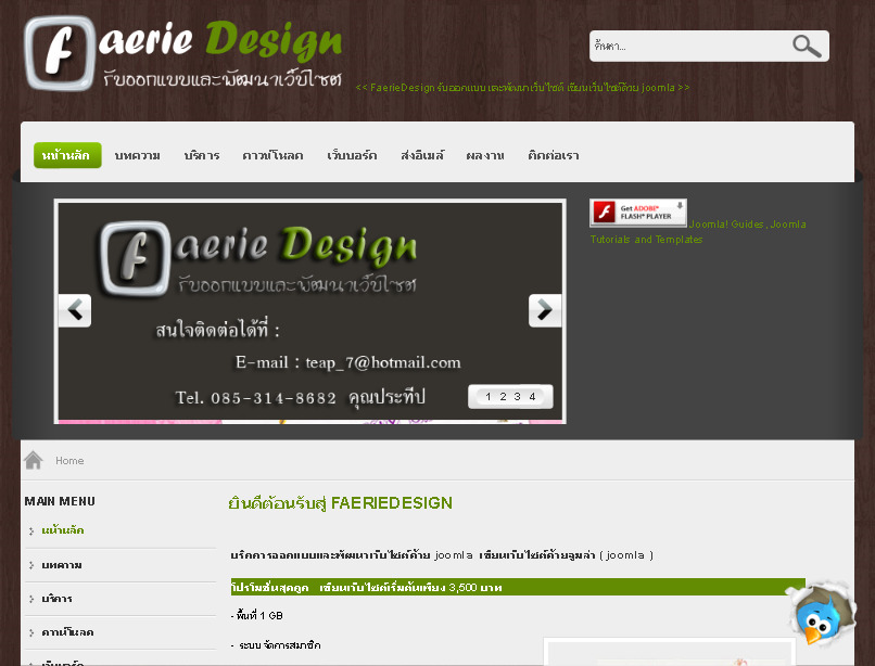 faeriedesign รับออกแบบเว็บไซต์ ทำเว็บ สร้างเว็บ สร้างเว็บไซต์ ดูแลเว็บไซต์ ปรับปรุงเว็บไซต์ รูปที่ 1