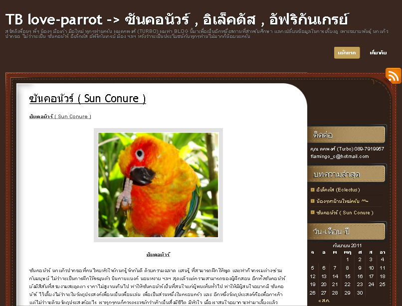 TB  love-parrot –> ซันคอนัวร์ , อิเล็คตัส , อัฟริกันเกรย์ รูปที่ 1