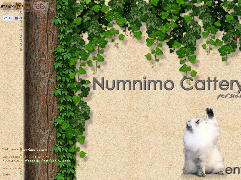 Numnimo Cattery ฟาร์มแมวเปอร์เซีย หิมาลายัน รูปที่ 1