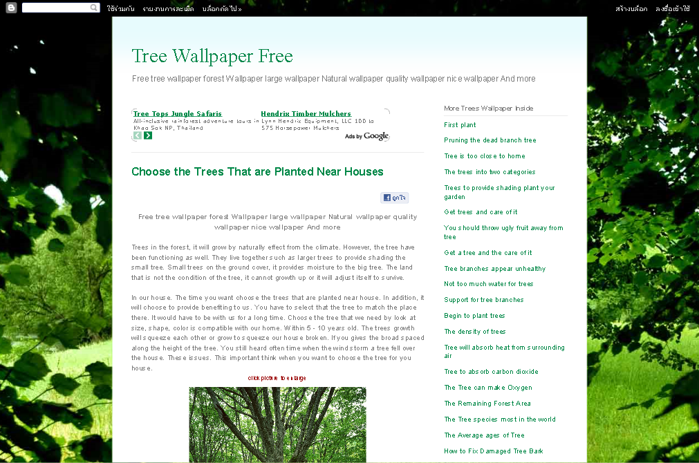 TreeWallpaperFree รูปที่ 1