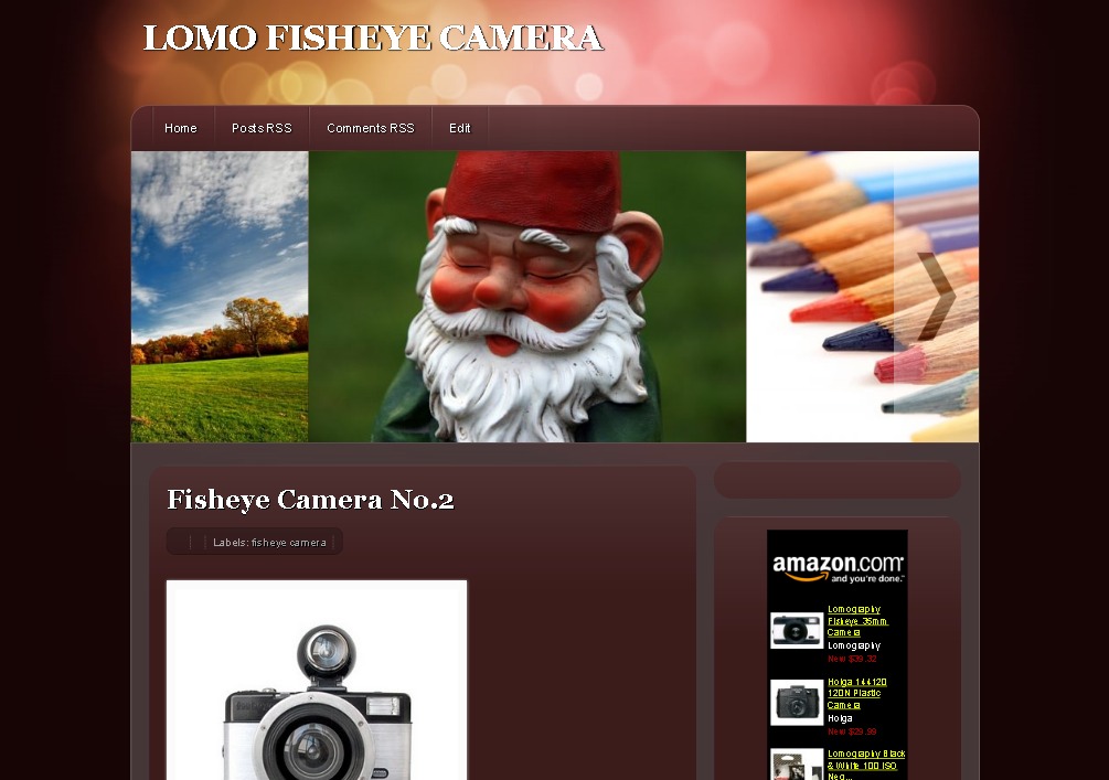Fisheye Camera รูปที่ 1