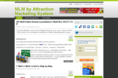 mlm by attraction marketing system