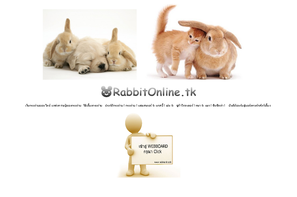 เว็บกระต่ายออนไลน์ แหล่งความรู้ของกระต่าย แฮมสเตอร์&แกสบี้ เม่น&ชูก้าไกลเดอร์ หมา& แมว ชินชิลล่า รูปที่ 1