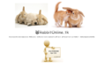 เว็บกระต่ายออนไลน์ แหล่งความรู้ของกระต่าย แฮมสเตอร์&แกสบี้ เม่น&ชูก้าไกลเดอร์ หมา& แมว ชินชิลล่า