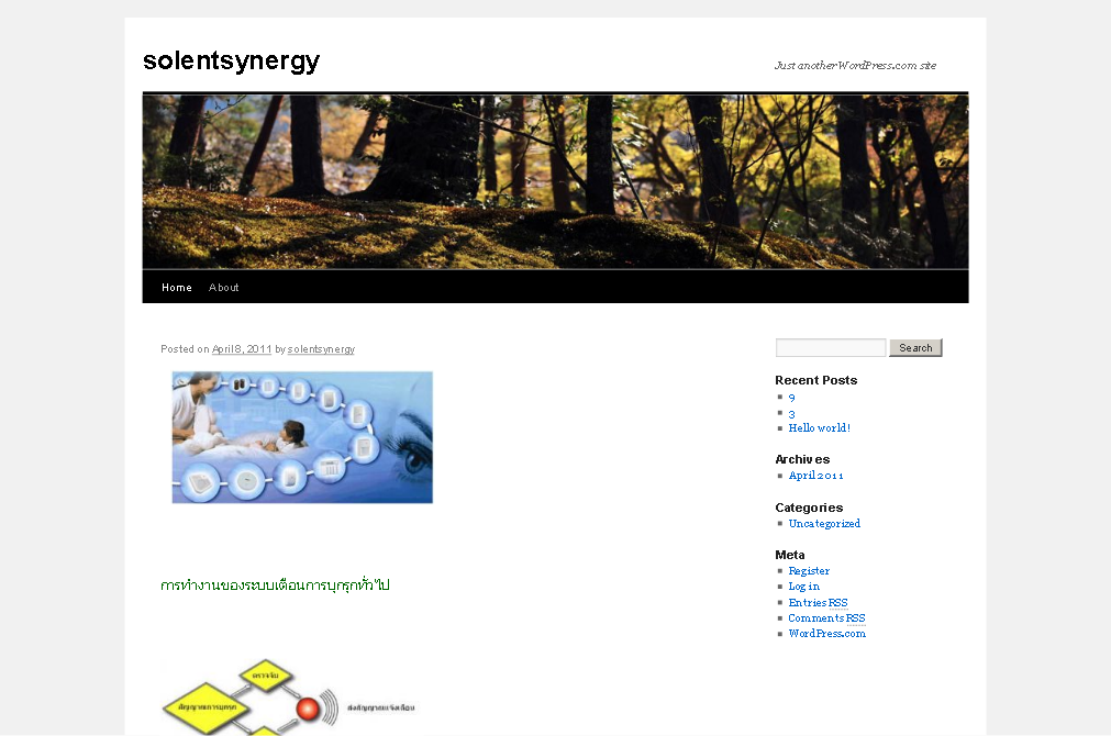 solentsynergy | just another wordpress.com site รูปที่ 1