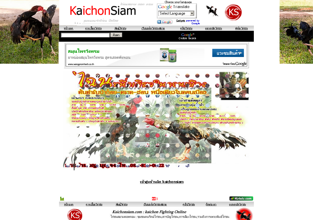 kaichonsiam.com : ไก่ชน ฟาร์มไก่ชน ซื้อขายไก่ชน คลิปไก่ชน เชิงไก่ชน สายพันธุ์ไก่ชน  ตลาดไก่ชน สมุนไพรไก่ชน กีฬาไก่ชน   รูปที่ 1