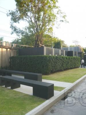 The Vertical Aree: 1 Bed + 1 Bath, 52 Sq.m, 12th fl for Rent รูปที่ 7