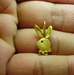 รูปย่อ จี้กระต่าย playboy ราคาเบาเบา นน 2.08 g  รูปที่2