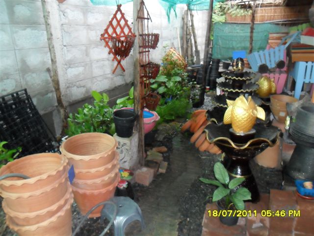 เซ้งร้านขายต้นไม้ ชลบุรี นาป่า รูปที่ 7