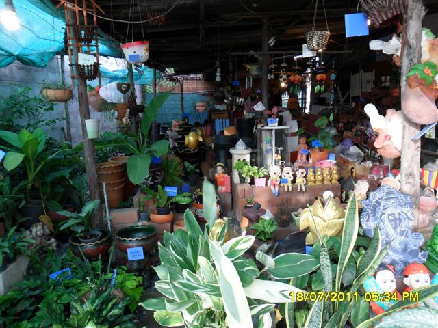 เซ้งร้านขายต้นไม้ ชลบุรี นาป่า รูปที่ 3