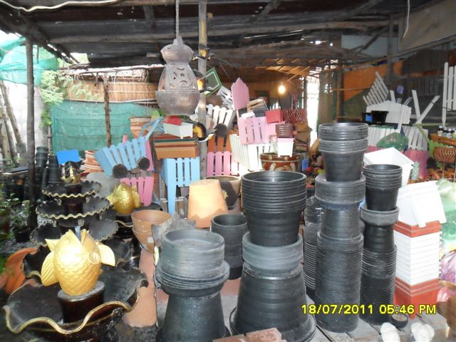 เซ้งร้านขายต้นไม้ ชลบุรี นาป่า รูปที่ 5