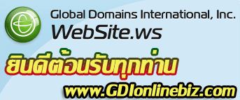ธุรกิจมาแรงแห่งปี 2011-2012 GDI ทำเท่ากับสำเร็จ รูปที่ 4