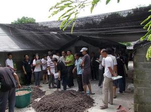 อบรมเพาะเห็ดฟางโรงเรือน 2 วัน_ifarm รูปที่ 5