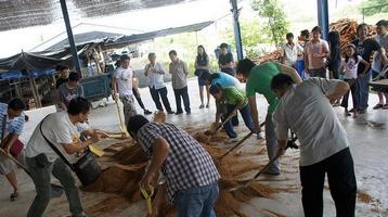อบรมการเพาะเห็ด : เห็ดถุง-เน้นปฏิบัติ เป็นอาชีพหลัก หรืองานอดิเรกโดยผู้เชี่ยวชาญ รูปที่ 4