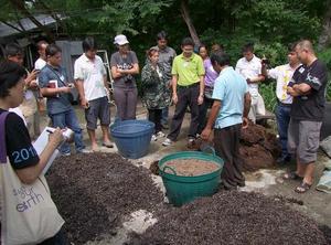 อบรมเพาะเห็ดฟางโรงเรือน 2 วัน_ifarm รูปที่ 4