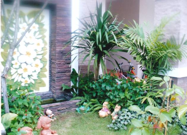 รับออกแบบจัดสวน ตกแต่งสวน จัดสวนสวยหลากสไตล์  ทำน้ำตก ทำบ่อปลาน้ำใส ปรับภูมิทัศน์ รับปลูกหญ้า จัดสวนใหม่หลังน้ำท่วม  รูปที่ 3