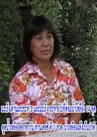 ซุปเปอร์เอนไซน์ เคลซี-ที พลัส พลูคาวผสมสารสกัดจากเมล็ดองุ่น มะเร็ง เบาหวาน ความดัน หัวใจ เก๊าท์ อัมพฤกษ์ อัมพาต ช่วยท่าน รูปที่ 6