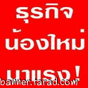 สร้างรายได้เสริมจากธุรกิจเติมเงินออนไลน์  รูปที่ 2