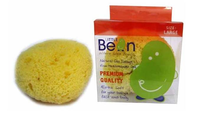 ฟองน้ำธรรมชาติ Little Bean : Sea Sponge-size L ฟองน้ำแท้ จากธรรมชาติ ขนาดใหญ่  เกรด A พร้อมส่ง รูปที่ 1