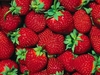 รูปย่อ จำหน่าย strawberry (สตอเบอรี่) ส่งตรงจากเชียงใหม่ รูปที่2