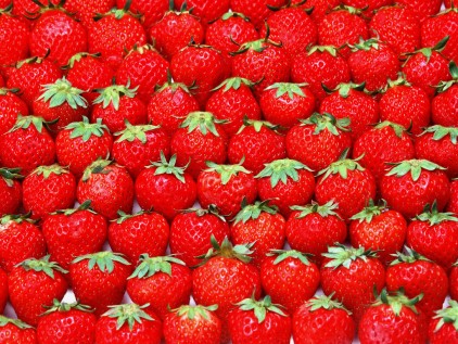 จำหน่าย strawberry (สตอเบอรี่) ส่งตรงจากเชียงใหม่ รูปที่ 1