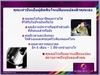 รูปย่อ รายได้เสริมทำงานออนไลน์ 100%  รูปที่3