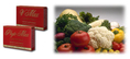 V Max & Phyto Max ผลิตภัณฑ์อาหารเสริมสุขภาพ เพื่อการปรับสมดุลและฟื้นฟูร่างกาย 