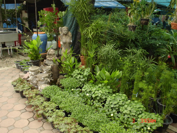 ประเมินราคาจัดสวนฟรี รูปที่ 6