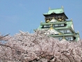 เที่ยวญี่ปุ่น โอซาก้า-โตเกียว ชมดอกซากุระ 7 วัน 4 คืน (TG) จองด่วน!!