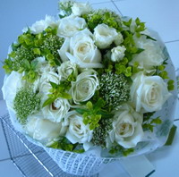 ดอกกุหลาบ รูปที่ 4