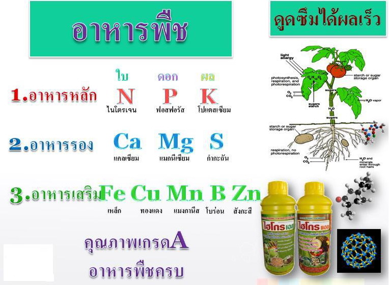 ไฮโกร เอส,ไฮโกร แอล ปุ๋ยน้ำชีวภาพเข้มข้น นำเข้าจากอเมริกา เพิ่มผลผลิต ลดต้นทุนปลดหนี้เกษตรกร แทน 0820024317 รูปที่ 7