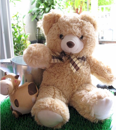 ตุ๊กตาลหมี รูปที่ 5