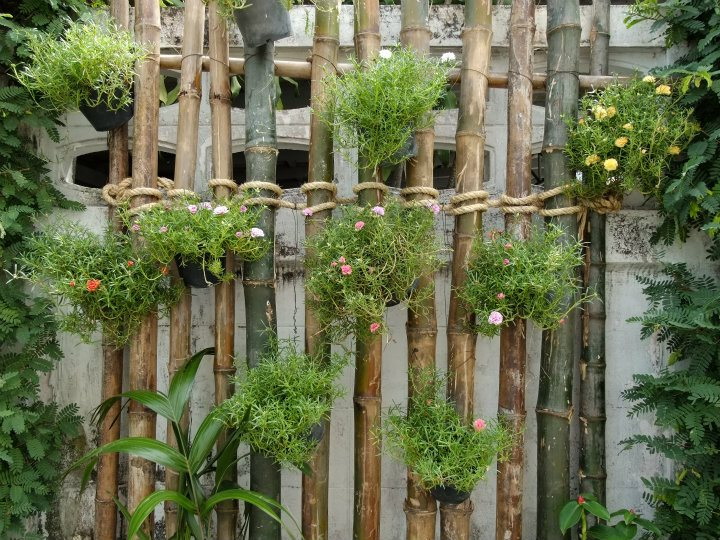 รับจัดสวนแนวตั้ง  รูปที่ 4