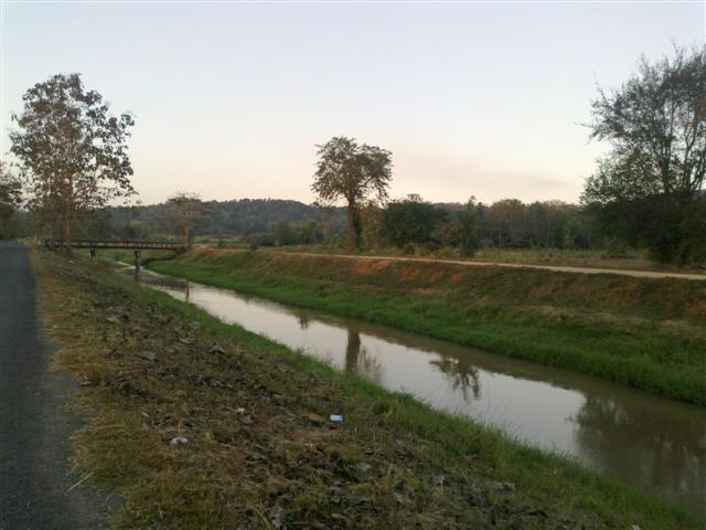 ที่สวยติดถนนคลองส่งน้ำ 500 ไร่ เชียงใหม่(500 Rai of beautiful land in Chiang Mai canal)  รูปที่ 3