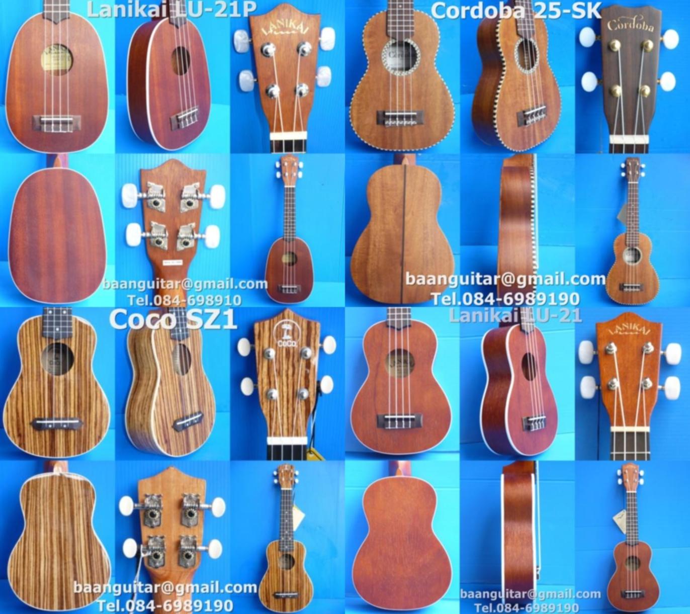 >>>>>ขาย Ukulele อูคูเลเล่ กีต้าร์ฮาวาย ของใหม่มือหนึ่ง ราคา 1,200-8,400 บาทครับ<<<<< รูปที่ 6
