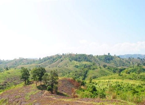 ที่ดินสวย 1,000 ไร่ เพชรบูรณ์(1000 Rai beautiful Phetchabun)  รูปที่ 2