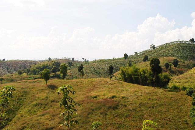 ที่ดินสวย 1,000 ไร่ เพชรบูรณ์(1000 Rai beautiful Phetchabun)  รูปที่ 3