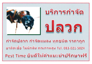 บริการกำจัดปลวก กำจัดแมลง ราคาถูก ประสิทธิภาพสูง 083-021-5024 รูปที่ 1
